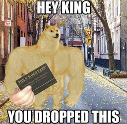 doge-n-word-pass.jpg