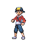 Hgss_trgs_hero.ncg-r4124-cropped.png