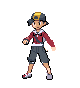 Hgss_trgs_hero.ncg-r22110-cropped.png