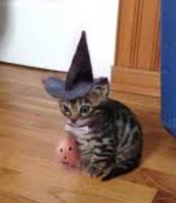 witchcat04.png