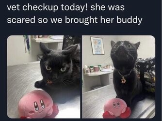 IMG_0667.jpeg