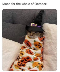 1728966068919.png