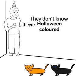 IMG_0832.jpeg