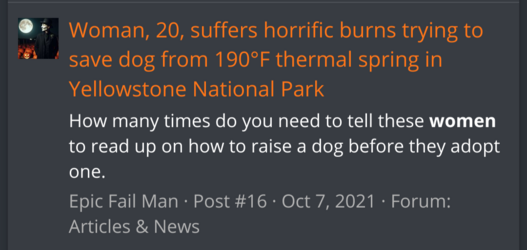 Screenshot_20241015-152033.png