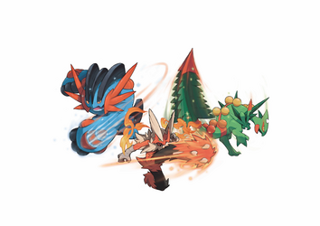 _0011_324010_メガジュカイン・メガバシャーモ・メガラグラージ3.png