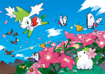 _0075_414004_515-715shaymin.png