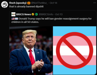 1729038679949.png