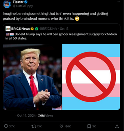 1729044987177.png