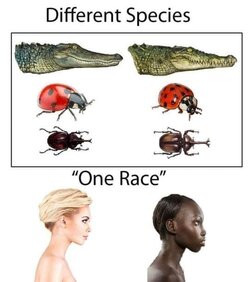 1623874135949.jpg