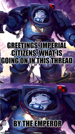 7syhin.jpg