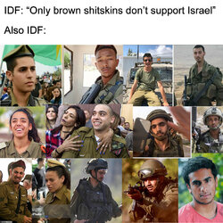 the adl idf jews all inbred jew rats kikes brown third worlders.jpg