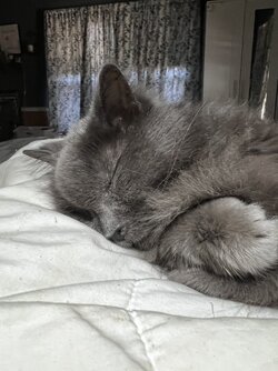IMG_7661.jpeg