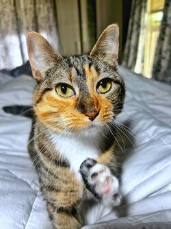 IMG_6485.jpeg