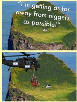 8464920748594e.jpg