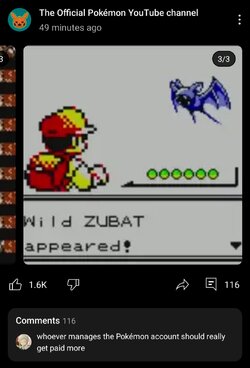 Screenshot_20241018_204945_YouTube.jpg
