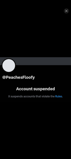 Screenshot_20241018-231232.png