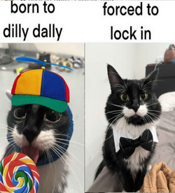 1729353238635.png