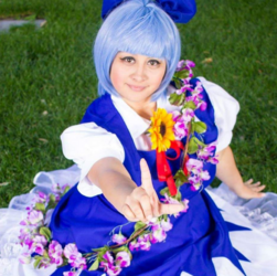 FDSA.PNG