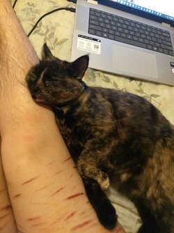 IMG_2733.jpeg