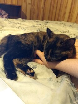 IMG_2735.jpeg