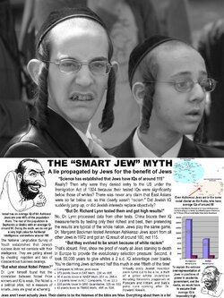 The smart jew myth.jpg