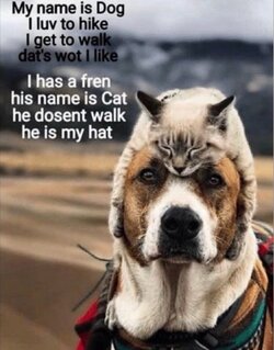 Hat.jpg