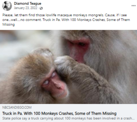 nicolemonkey.PNG