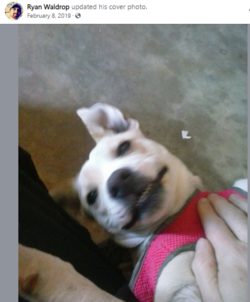 ryandog.PNG