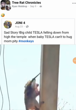 1729468769099.png