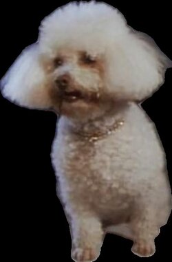 HEIF Image.jpeg