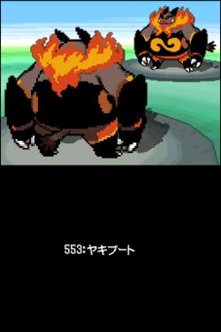 B1_14276__9891.png