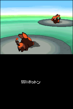B1_14276__12417.png