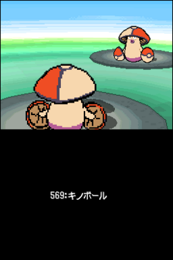 B1_14276__14658.png
