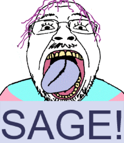 IMG_0815.png