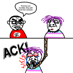 IMG_0260.png