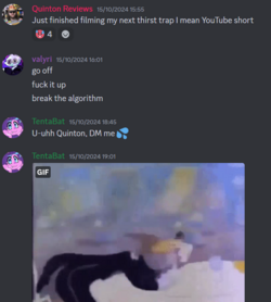 1729527124066.png
