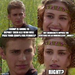97g8my.jpg