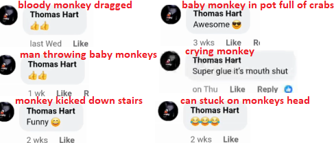 1729539596199.png