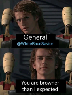 1729560993904.png