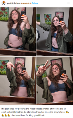chris chan tranny phenotype