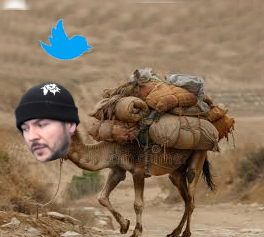 tim.png