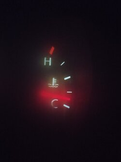 IMG_20241022_055856278.jpg