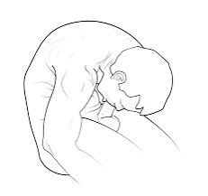 IMG_9334.png