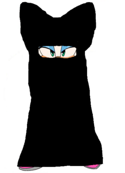 shitty rouge edit.PNG