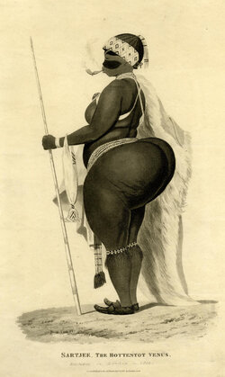 baartman2.jpg