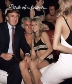 fake news.jpg