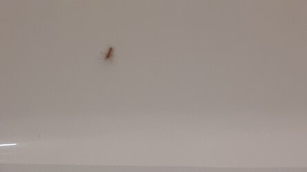 20241024_011358.jpg