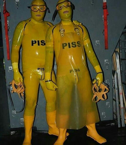 1697892162285.png