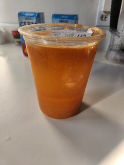 IMG_0101.jpeg