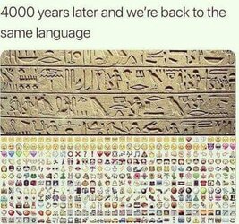 FB_IMG_1709969888393.jpg